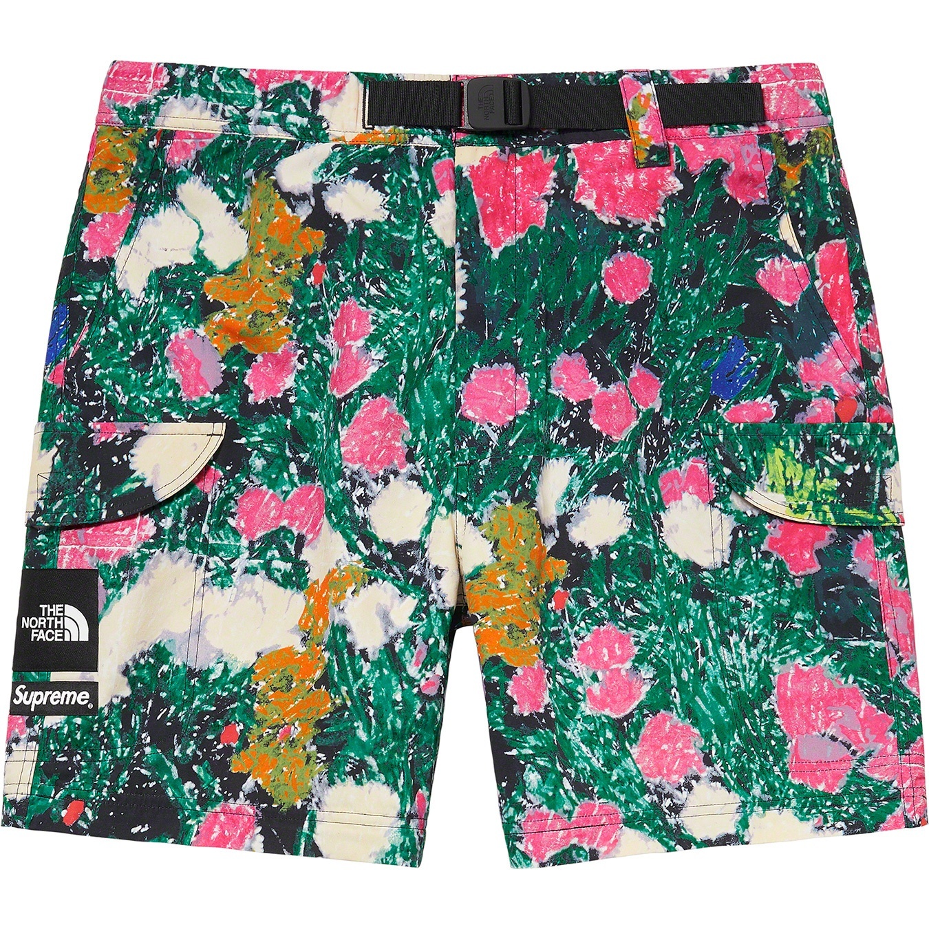Supreme®/The North Face® Trekking Zip-Off Belted Pant view 10